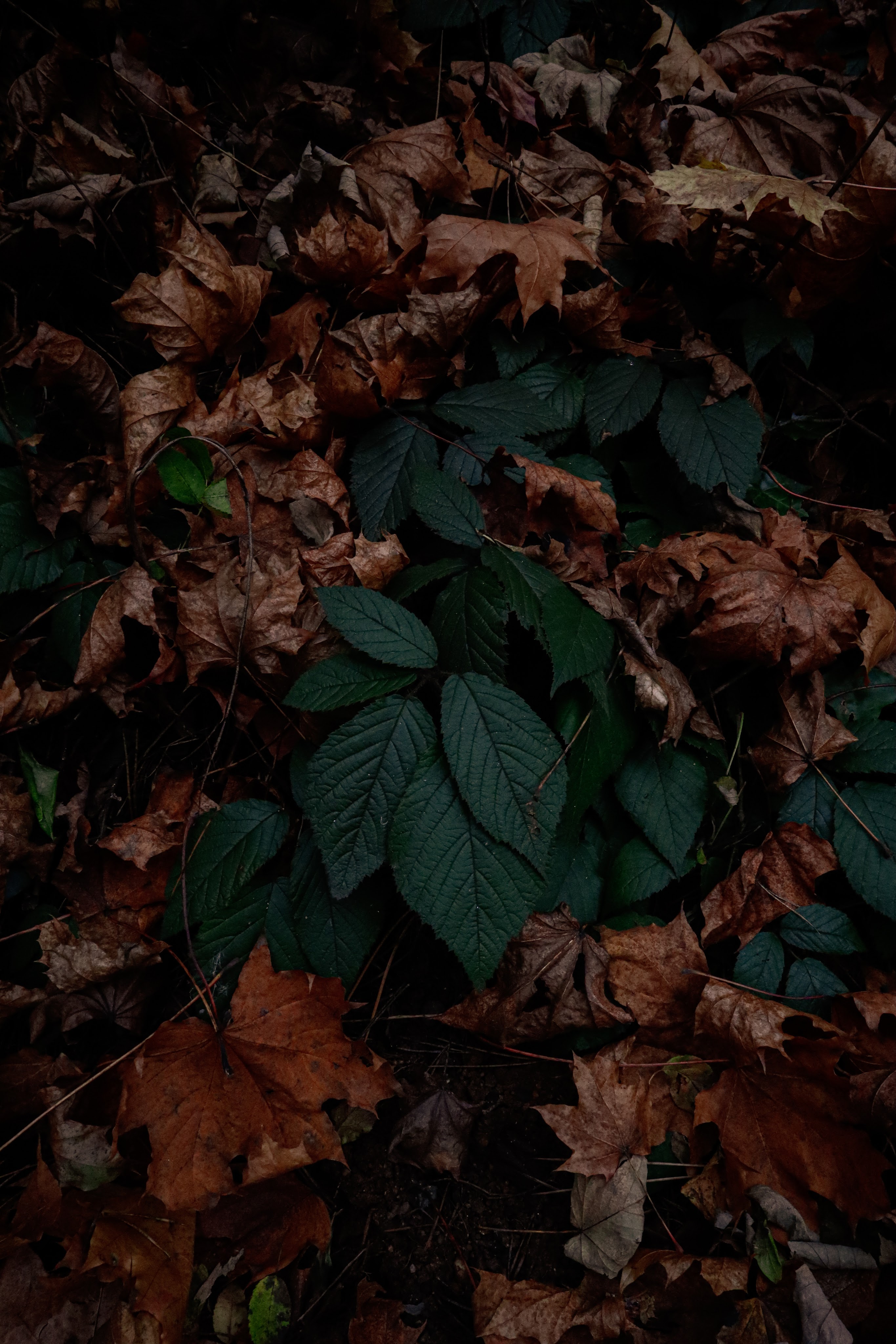 The most wonderful time!