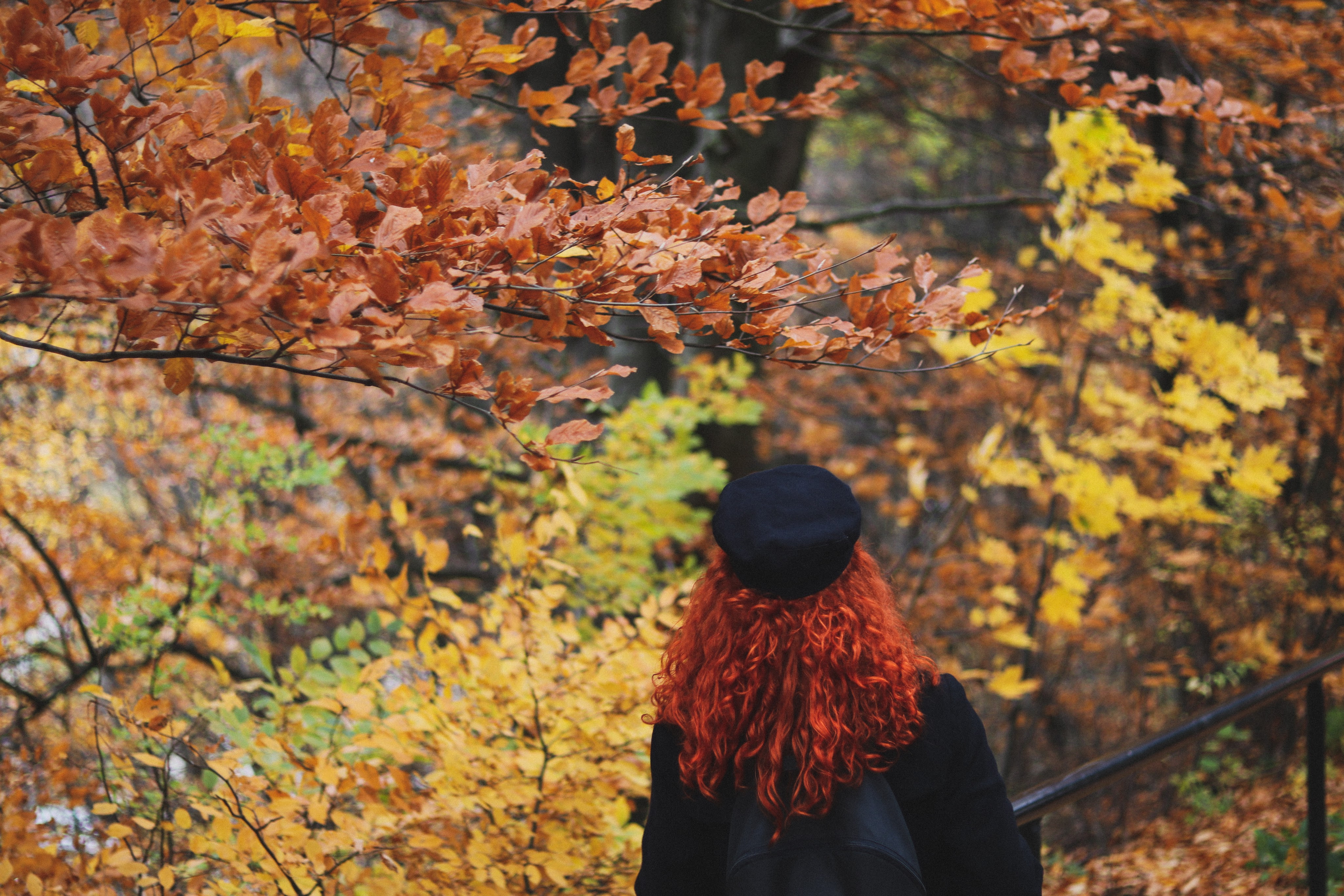 Out of office storytime