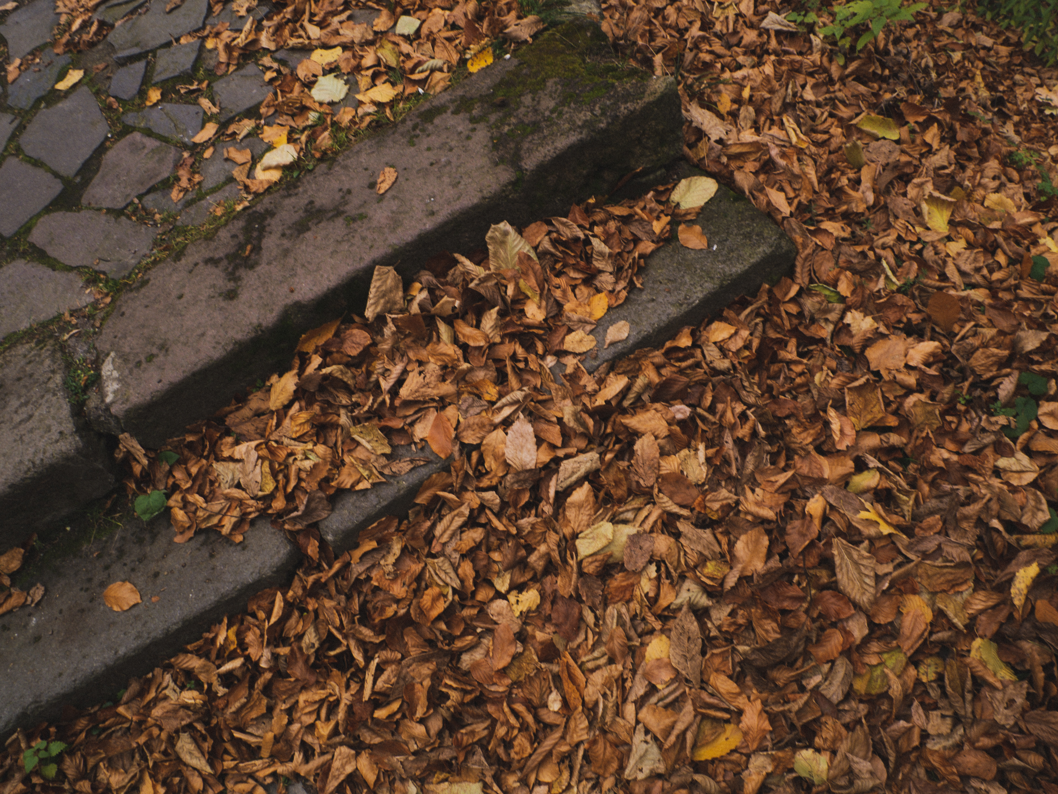 The wonderful season!