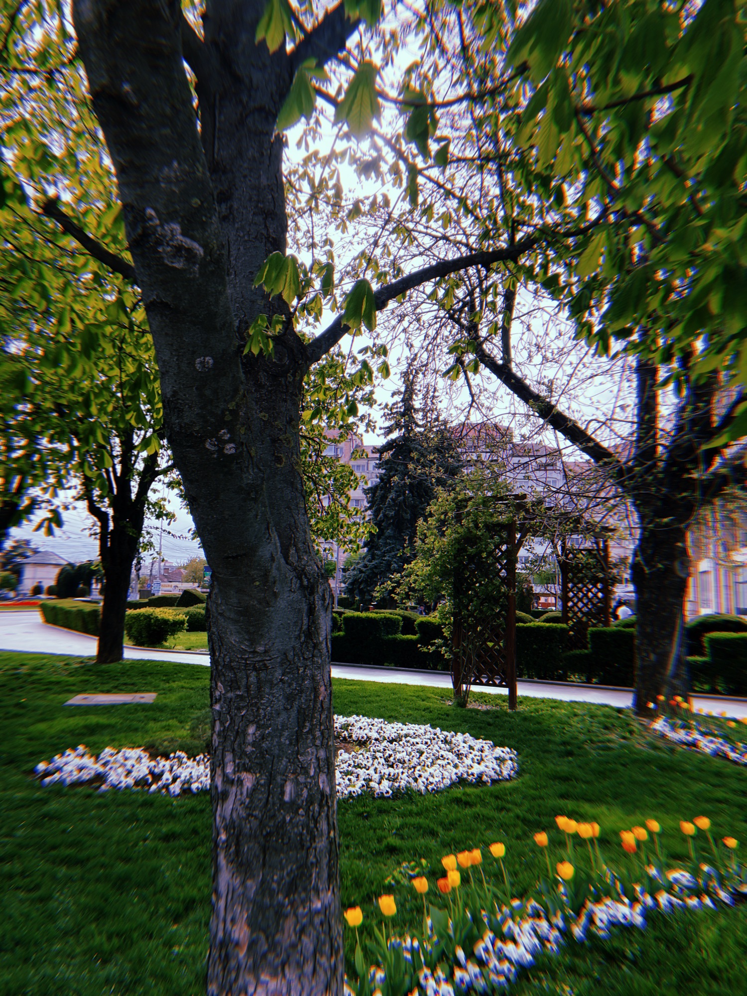 20250418_165456_701-1